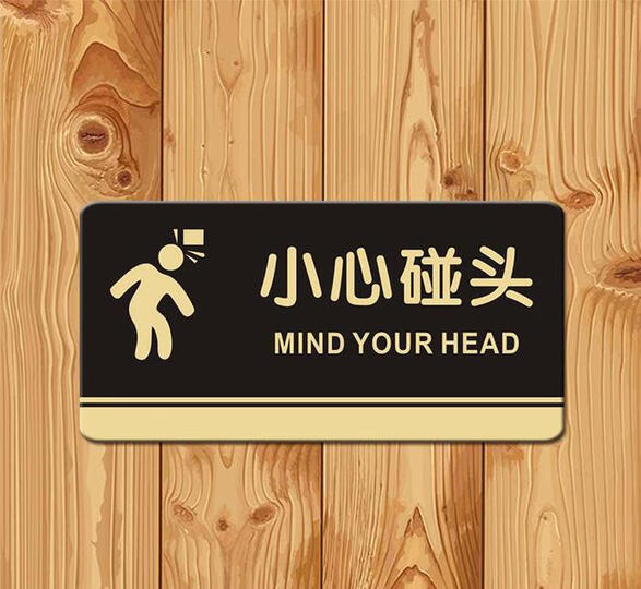 举报    |             分享