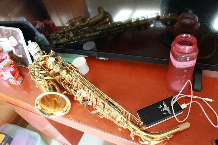 玩具乐器  西洋管乐器  萨克斯  鹦鹉(parrot)  鹦鹉(parrot) 商品