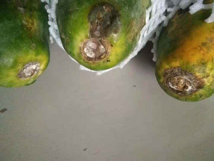 生鲜 水果 木瓜 缤咕 缤咕 商品评价  都坏了,四个都坏了.