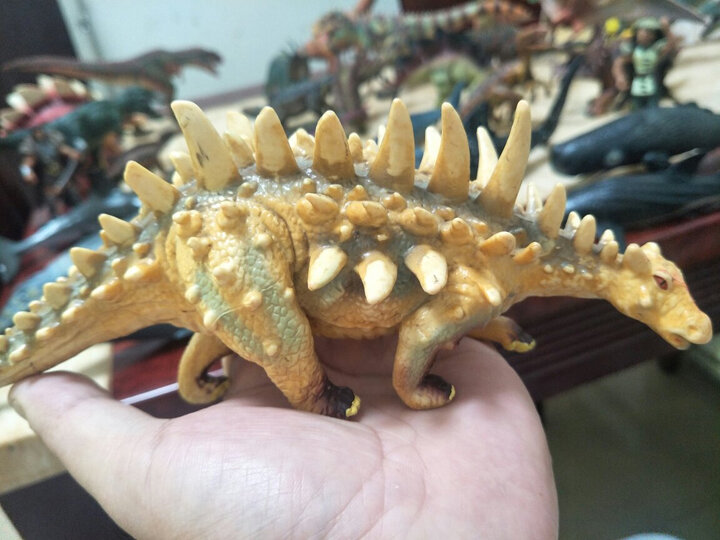 玩具乐器  静态模型  其他静态模型  活石(living stones)  活石