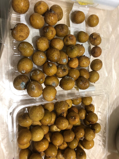 展卉 泰国进口龙眼 精选一级果 1kg装 新鲜水果就这还放心购优鲜赔