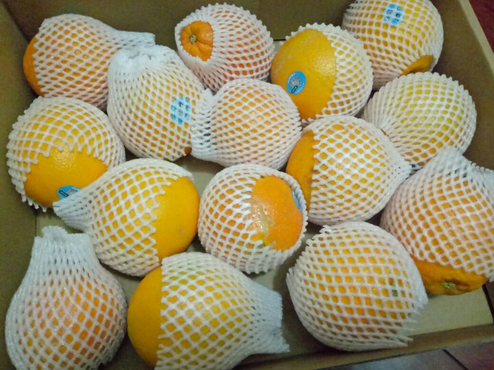 [晒单帖]澳大利亚直采进口脐橙 丑橙 4kg,很新.