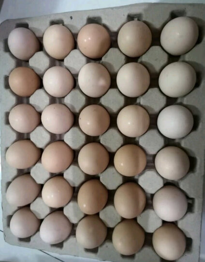 鲜本味 德国罗曼白羽鸡蛋 30枚 1.35kg 粉壳蛋