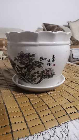 裕轩堂陶瓷花盆中国风梅兰竹菊桌面地面盆栽多肉带托盘简约绿萝吊兰