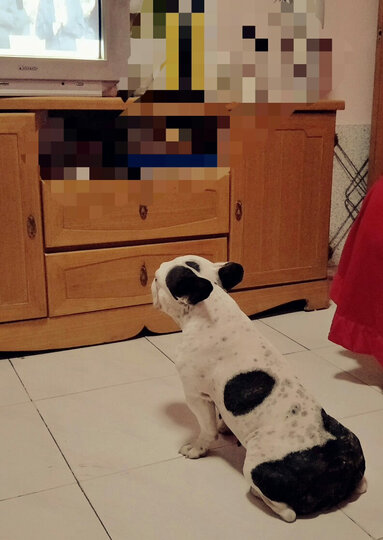 嬉皮狗斜边款字母绣花方窝:"小窝收到一段时间了