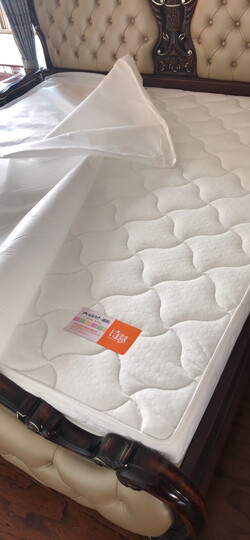 大自然床垫 山棕剑麻防螨静音植物棕垫 单人/双人可订做 非椰棕无弹簧