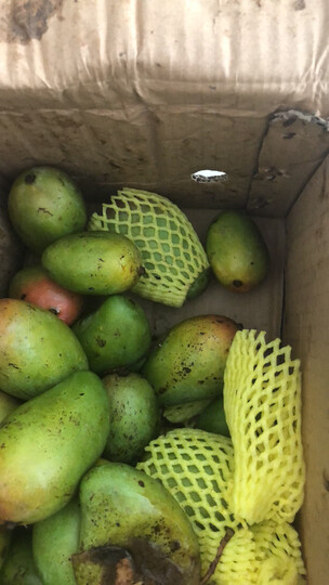 美果汇凯特芒热评榜