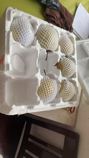 收到破损泡沫箱,打开.