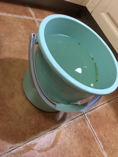 千鸿千鸿 塑料水桶12l:"颜色挺好看,没有异味,提着挺顺手,装洗菜水