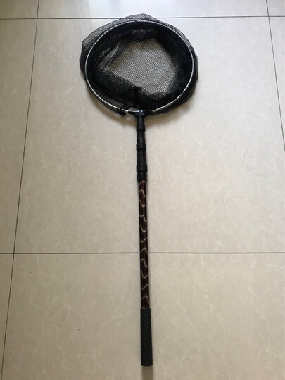 抄子质量很棒,去海边河边都能用上,都有收获了,虽然都是小鱼小虾小