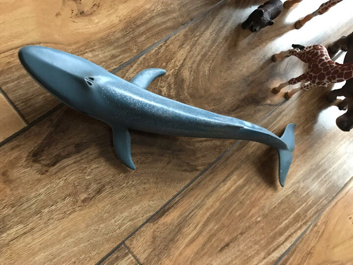 思乐蓝鲸玩具:"特别喜欢思乐的玩具,尤其是去了上海自然博物馆后,看到