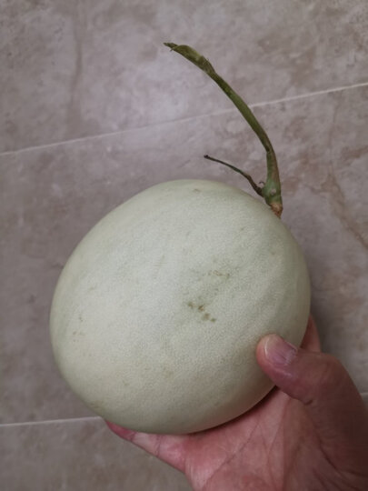 玉菇甜瓜 1粒装 单果2斤以上 新鲜水果此用户未填写评价内容-京东