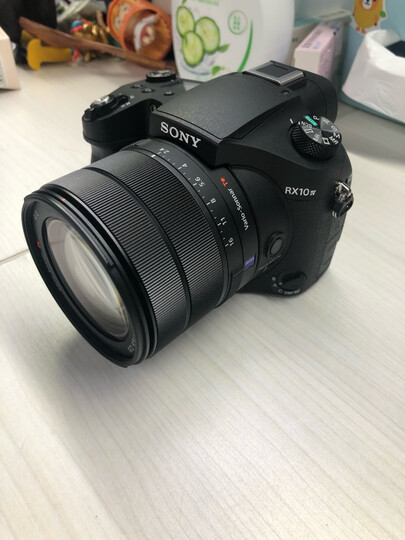索尼(sony)dsc-rx10m4 黑卡数码相机 1英寸大底 超长焦(蔡司24-600mm