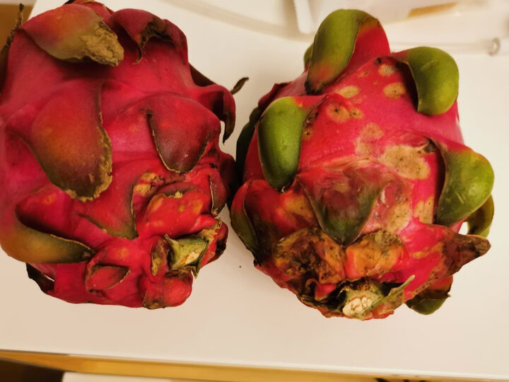 越南进口红心火龙果 3个装 单果300g以上 新鲜水果六个吃了讲话,其他