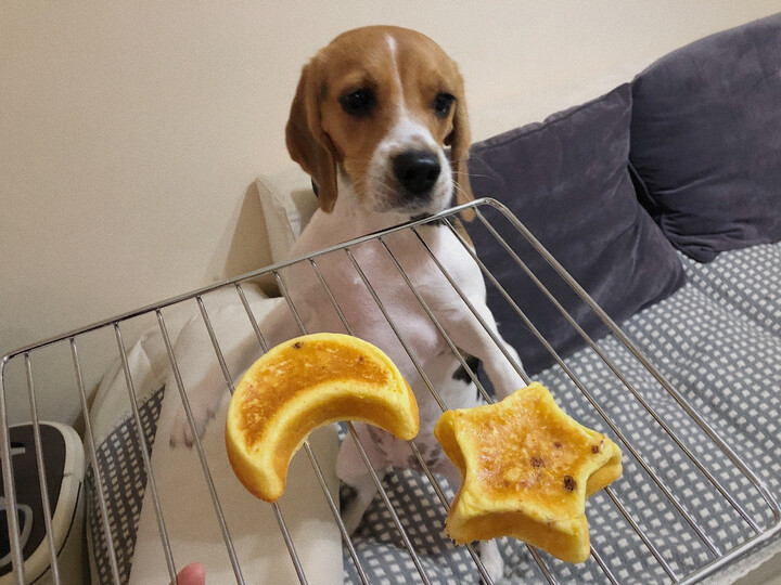 伯纳天纯狗粮小型犬成犬:"我的狗很爱吃很好很快很便宜 棒棒哒 继续哦