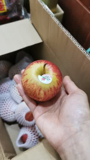 小小个的苹果,很脆甜.