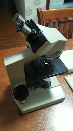 萨伽(saga) 生物显微镜标本切片学生观测动植物人体组织细菌 200片装