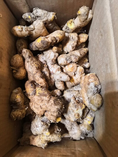 生姜看着不错.就是放着吹干两天,有好几个发霉了.只能扔掉.有点可惜