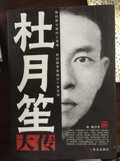 正版 杜月笙大传 杨帆著 中国黑帮老大 军阀战争时期民国历史百科黑道