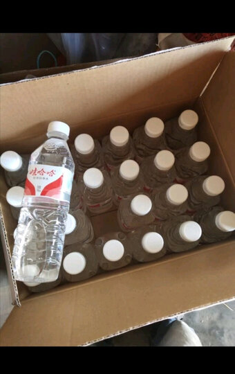 娃哈哈 纯净水饮用水 596ml*24瓶 整箱水(新老包装随机发货)冬天屋里