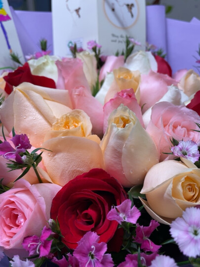 欣尚 鲜花速递红玫瑰花束送老婆女友生日礼物全国同城配送 19朵红色