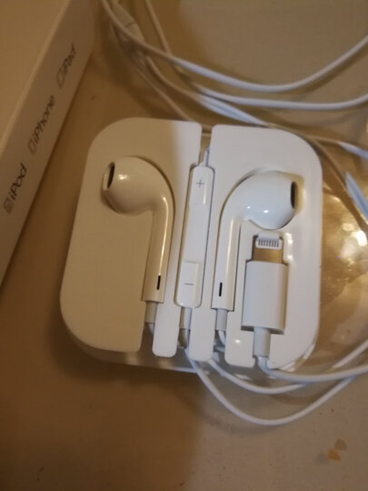 苹果12耳机 有线lightning扁头入耳式线控耳机带麦克 适用iphone11pro
