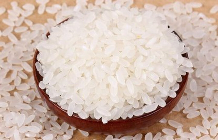 举报    |             分享