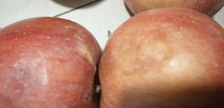 物流很快苹果存放久