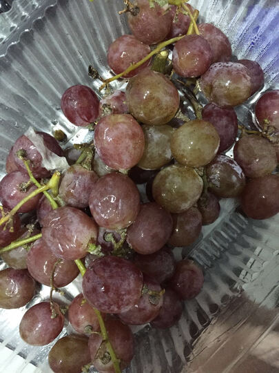 京东生鲜国产红提葡萄:"提子一大半的软塌塌的!一点都不好!