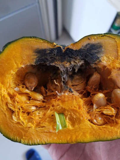 [晒单帖]这我醉了啊,第一个摸着有点软了就切开了,.