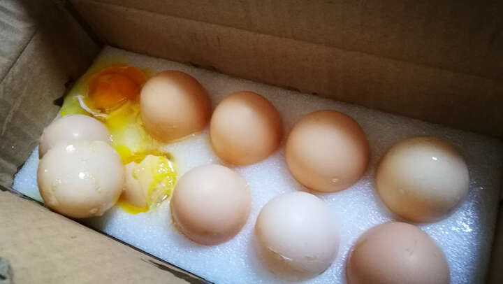 三十个鸡蛋,直接碎了.