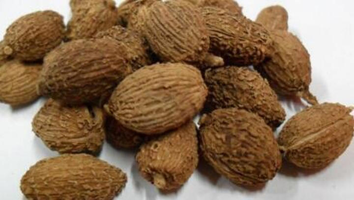 福曦堂 砂仁 砂仁干果 沙仁 50克*1袋在我们附近找了半天都没找到