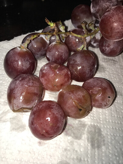生鲜 水果 葡萄/提子  兴业源新疆红提  兴业源新疆红提 商品评价  不