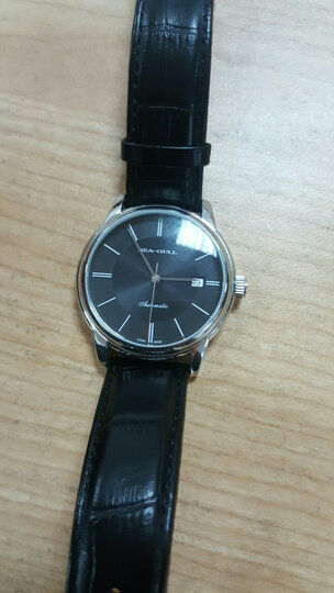 海鸥(seagull)手表 商务休闲系列自动机械男表银色条钉黑盘皮带d816.