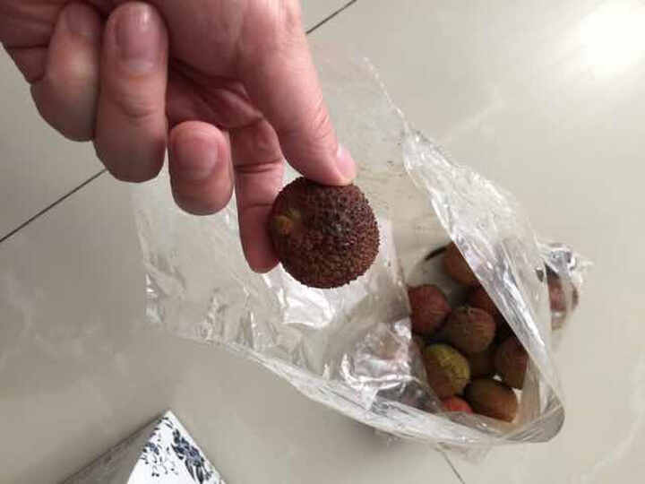 【东莞馆】东莞怀枝荔枝 东莞龙眼 双拼礼盒装 顺丰空运 广东新鲜水果