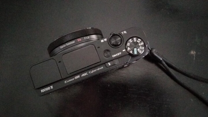 索尼rx100m5:"买了最贵的卡片机,蔡司t*镜头果然不错,逆光和颜色都不