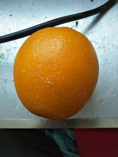 举报    |             分享            