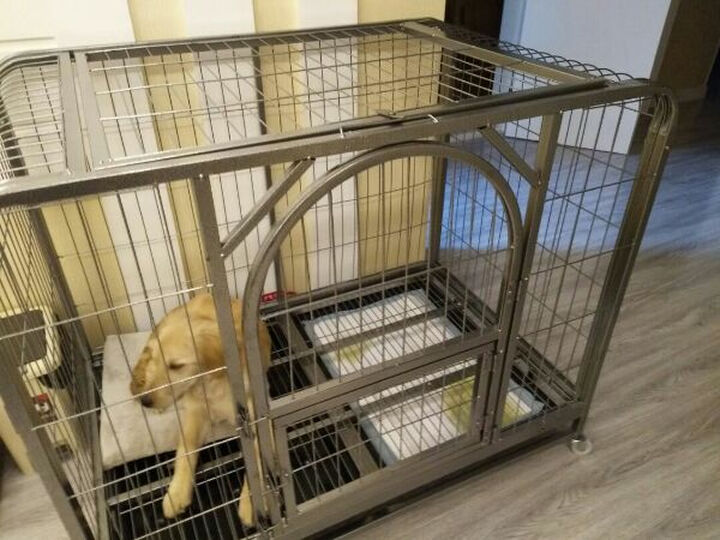 特别大的笼子,带有轮.