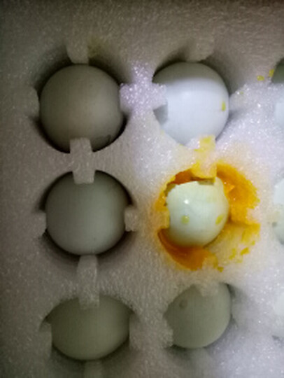大菜园 50枚装 绿壳鸡蛋 柴鸡蛋 散养 非鹅蛋鸵鸟乌鸡蛋蛋鸽子蛋 商品