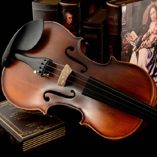 [晒单帖]精致,实惠,christina小提琴