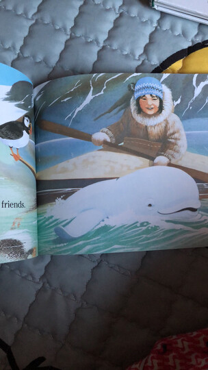 baby beluga :"喜欢这类主题的绘本,值得入" - 京东