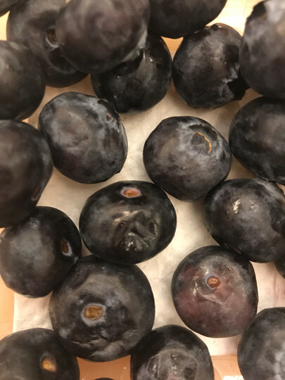 京觅精选蓝莓:"很多都坏了" - 京东
