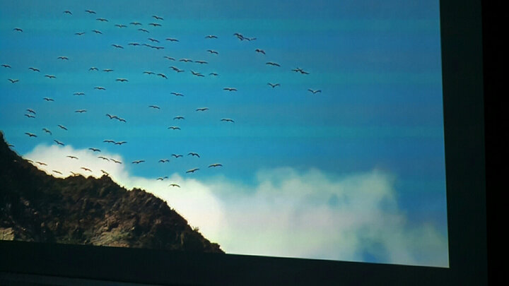 明基w1070 :"从明基720p版本升级来的,对比原来的机子清晰度好了很多