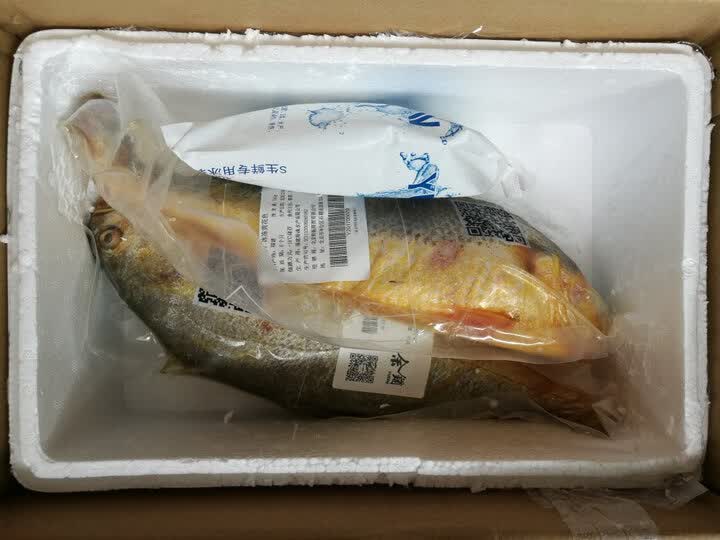 yuepw 福建宁德冰冻黄花鱼 750g 一条 袋装.新鲜,好吃,便宜.物美价廉.