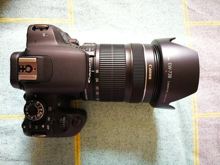 佳能eos 800d(18-135):"相机很好用,就是夜拍噪点控制不太好,可能是