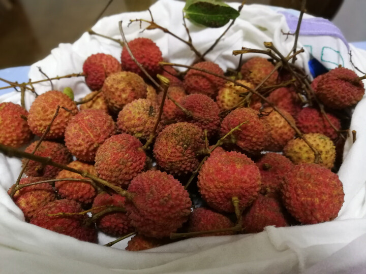 莞吉荔(guanjili):"【东莞馆】广东东莞桂味荔枝 新鲜荔枝 顺丰空运