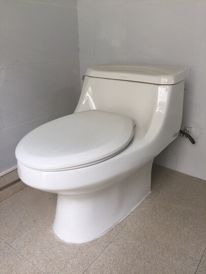 家装建材  厨房卫浴  马桶 卡丽(karat)  科勒旗下品牌卡丽静音.