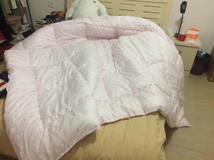 雅鹿被子冬被加厚保暖秋冬被芯家纺单双人四季被子被褥学生宿舍棉被