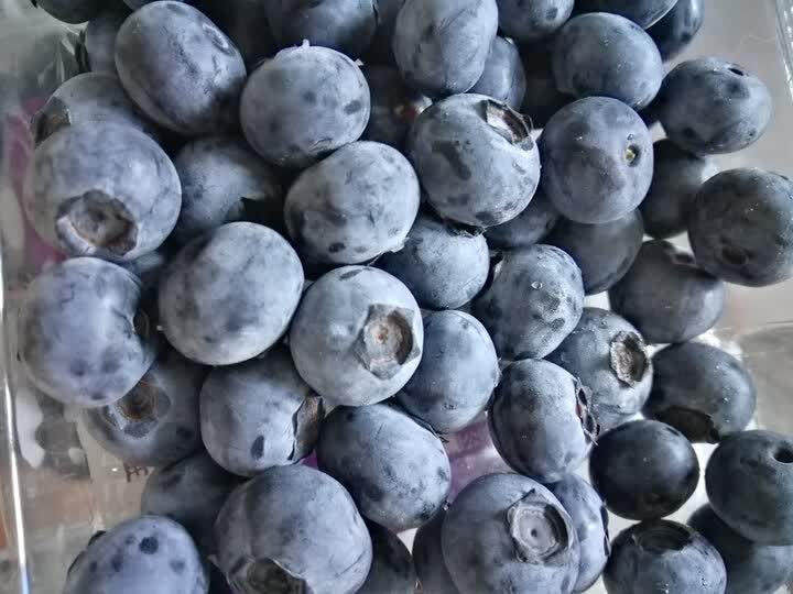 佳沃国产蓝莓 12mm  1盒装 125g/盒 新鲜水果 晒单图