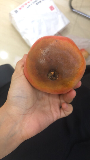 【唐果食光】云南蒙自甜石榴8个装 单果约260-300g 生鲜新鲜水果礼盒